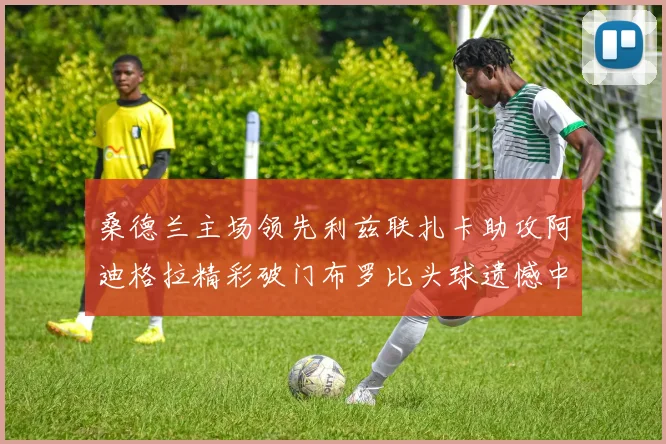 桑德兰主场领先利兹联扎卡助攻阿迪格拉精彩破门布罗比头球遗憾中楣