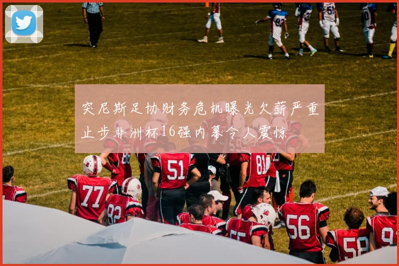 突尼斯足协财务危机曝光欠薪严重止步非洲杯16强内幕令人震惊