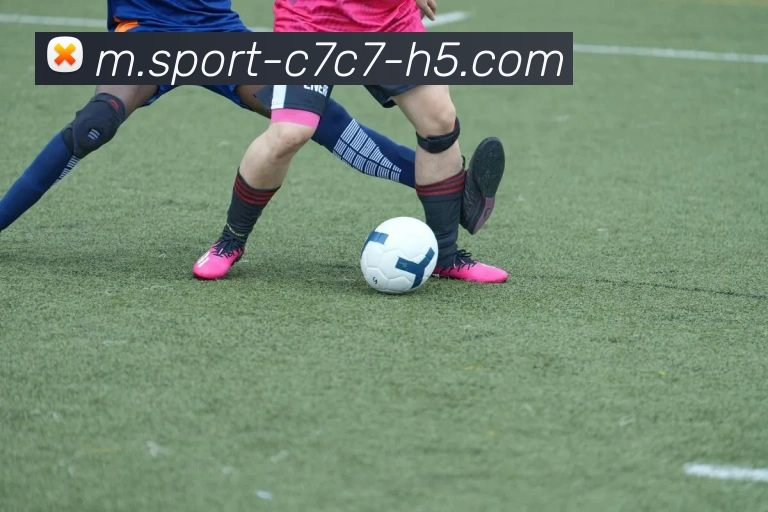 C7C7娱乐APP 封面图